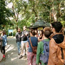 Yoga Anatomy Teacher Dharamsala