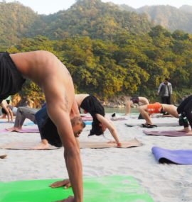 Yoga Teacher Training Rishikesh