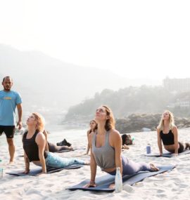 Yoga Teacher Training in Rishikesh