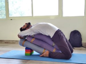 Yoga Posses Anatomy