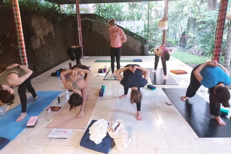 Yoga Teacher Training Ubud | 200 Hour YTT- Bali Yoga Center