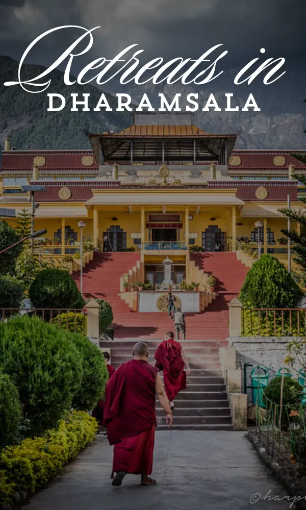 Best Yoga Retreat in Dharamsala