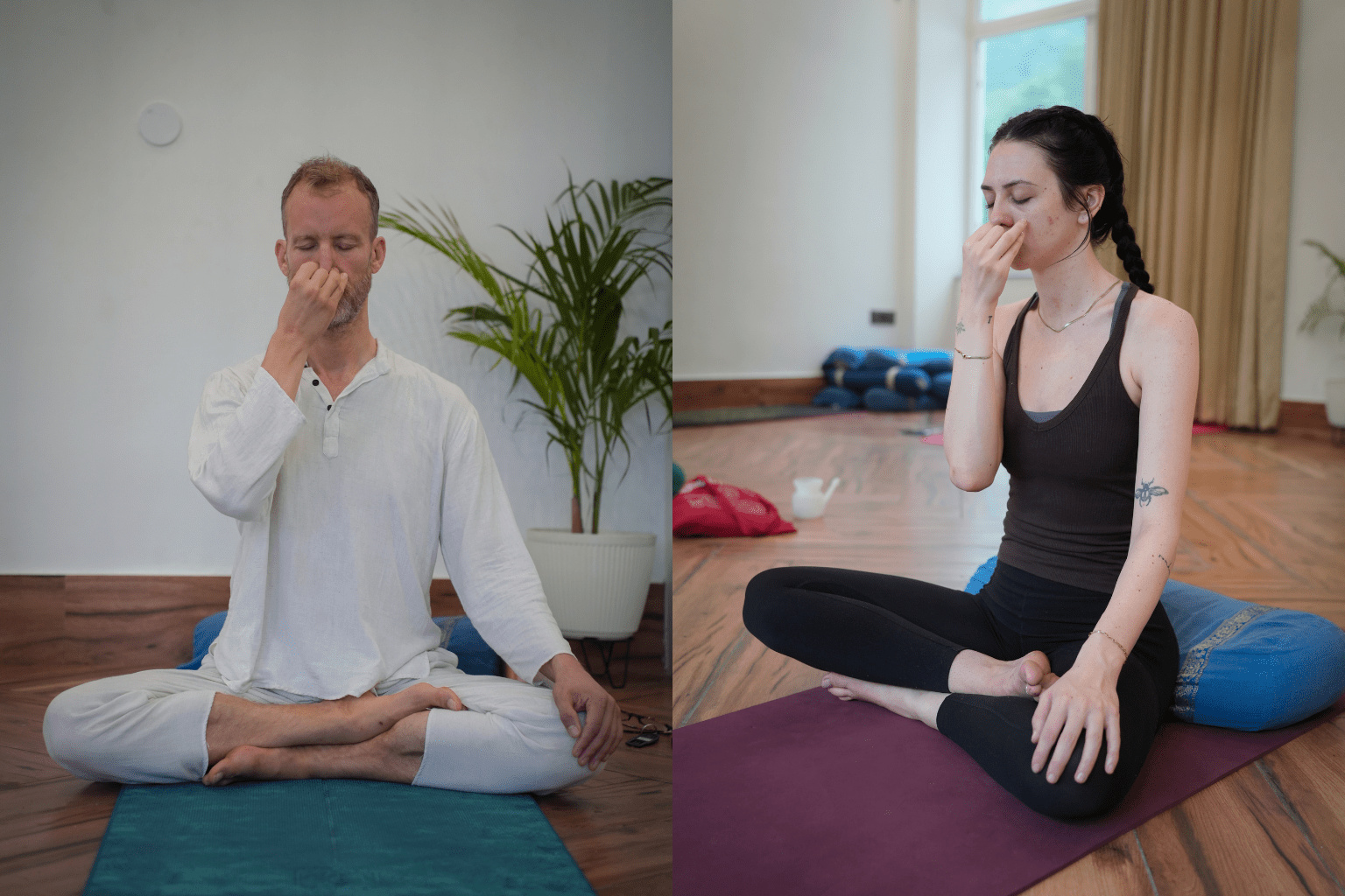 Learn Somatic Breathwork In Rishikesh India