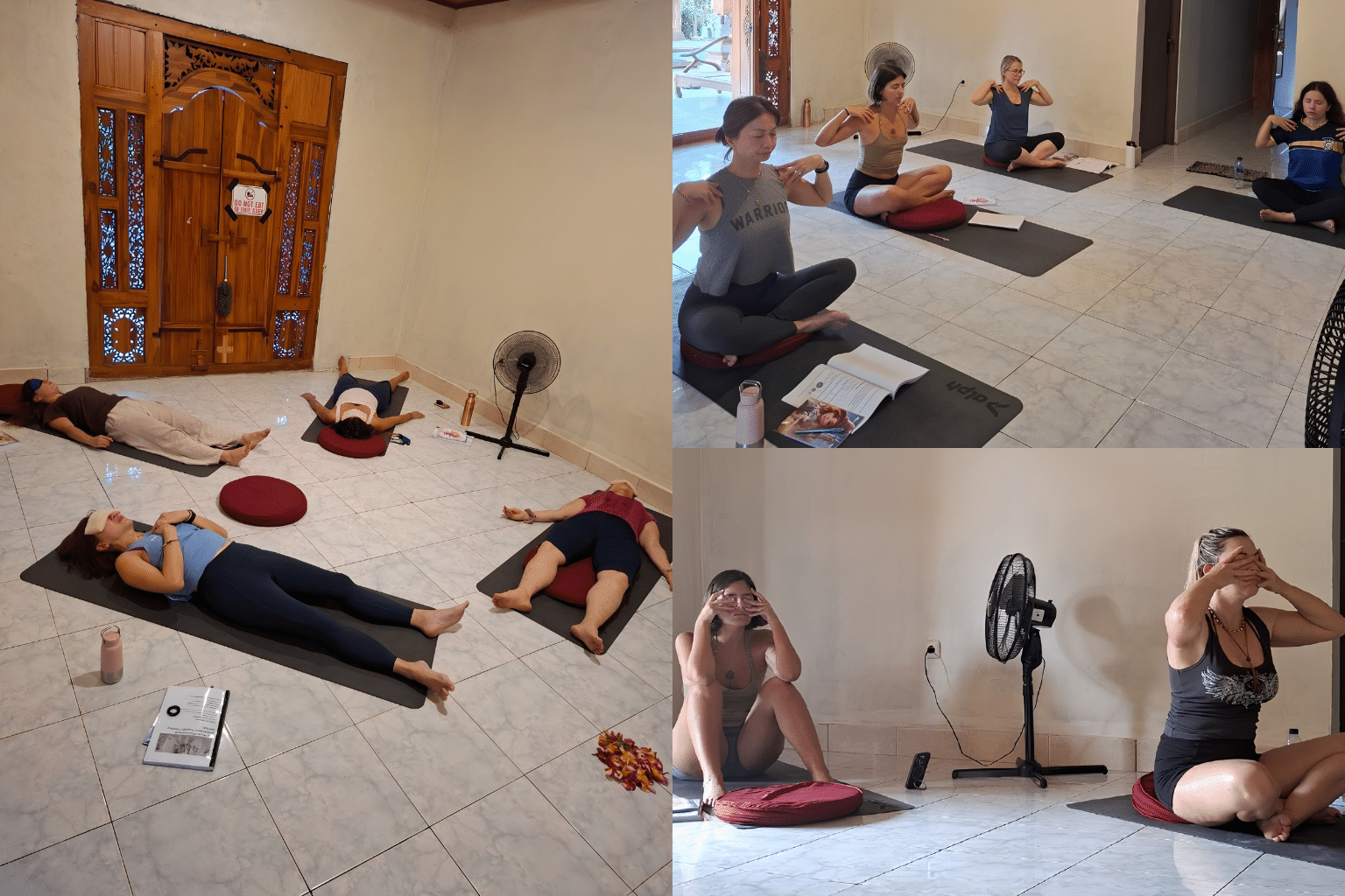 Classical Pranayama vs. Somatic & Holotropic Breathwork: Which Facilitator Certification Should You Choose in 2027?